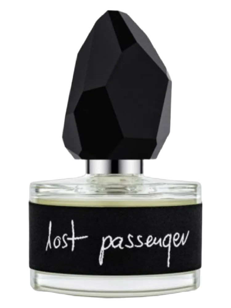 Lost Passenger by yDe