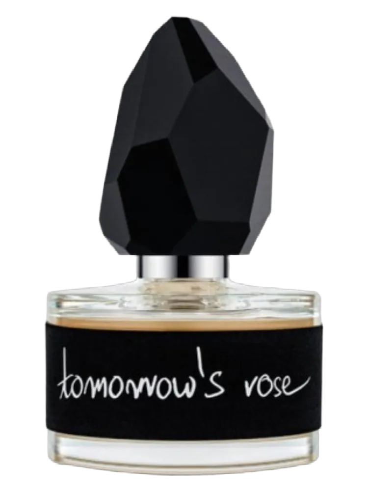 Tomorrow’s Rose by yDe