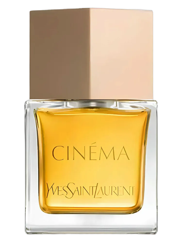Cinéma 2024 by Yves Saint Laurent