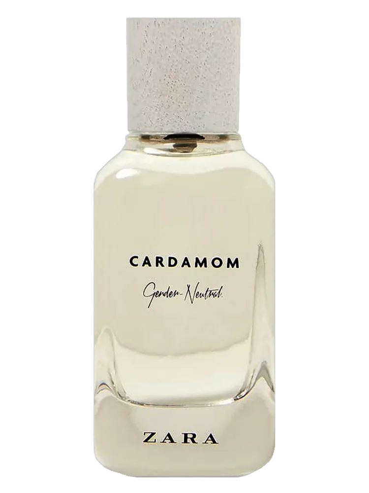 Cardamom - Gender Neutral by Zara