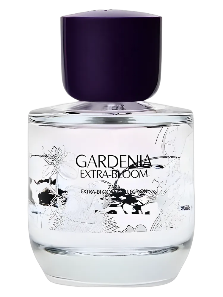 Gardenia Extra-Bloom by Zara
