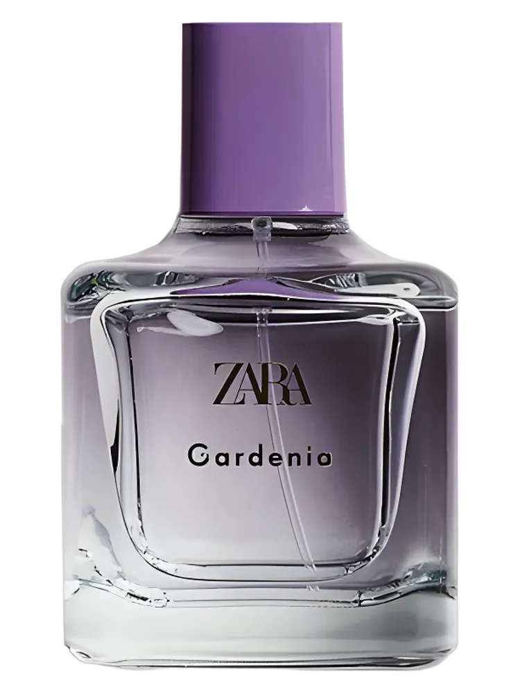 Gardenia by Zara
