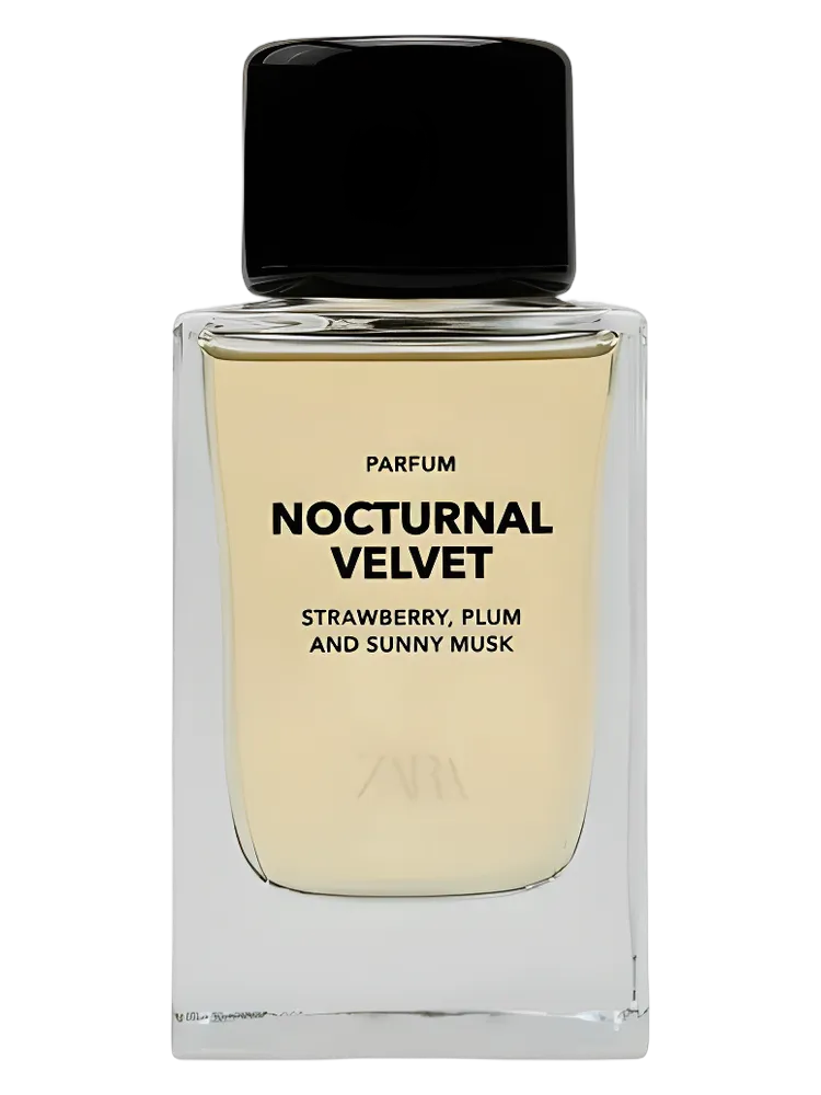 Nocturnal Velvet by Zara