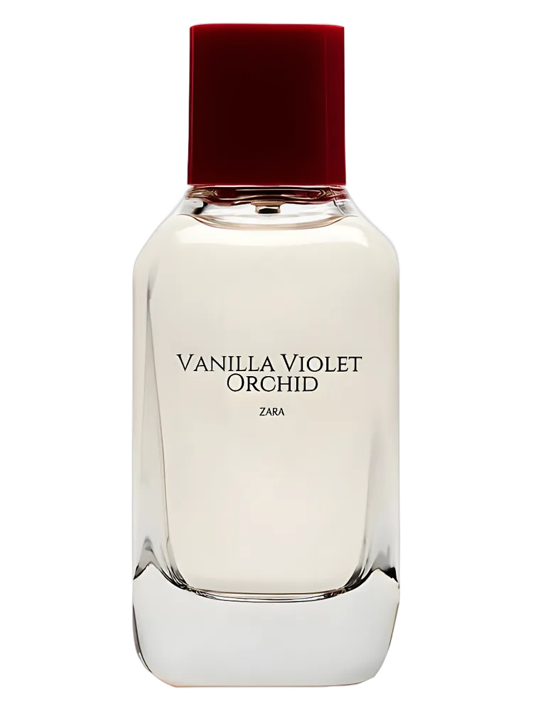 Vanilla Violet Orchid by Zara