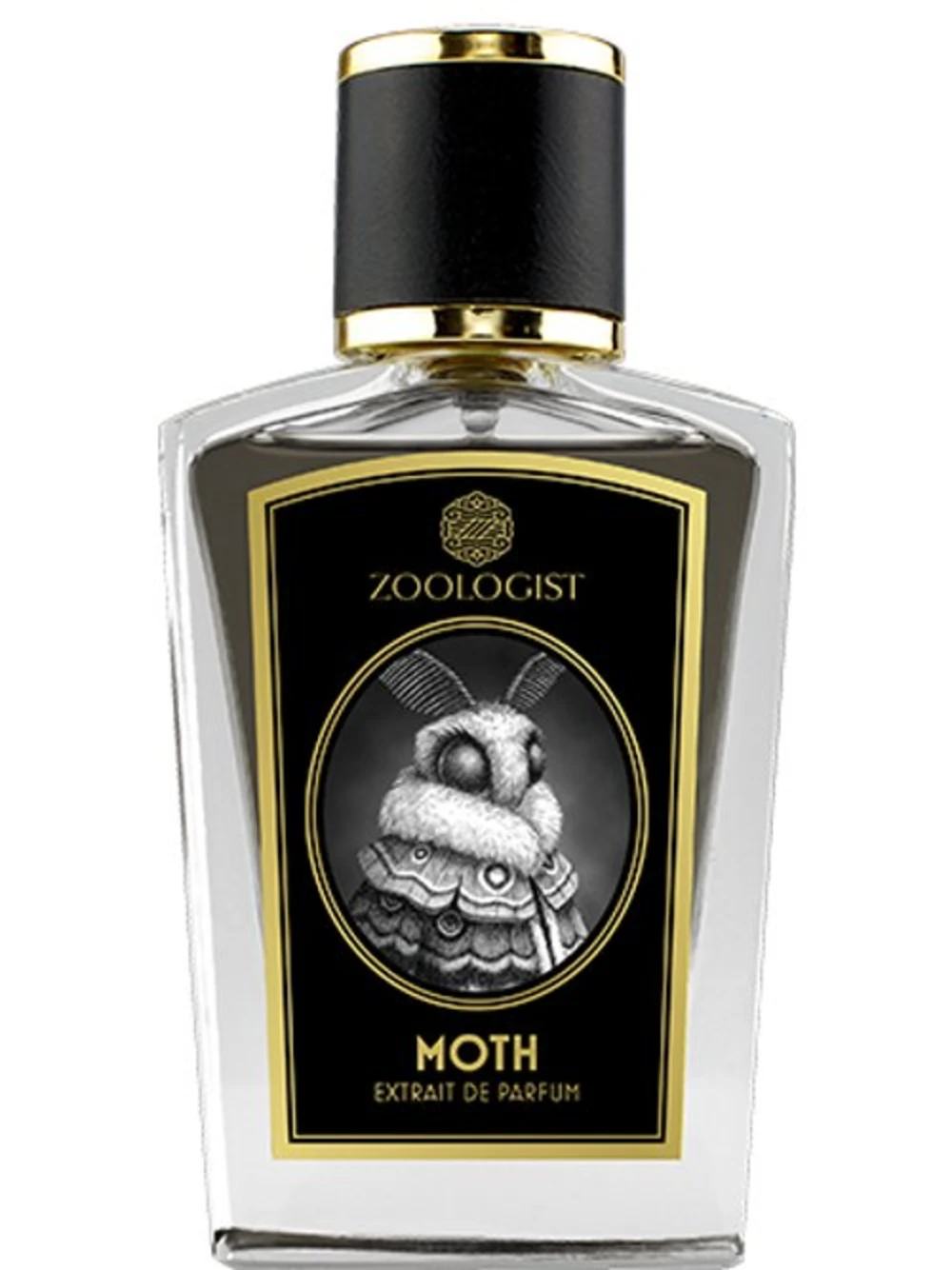 Moth by Zoologist