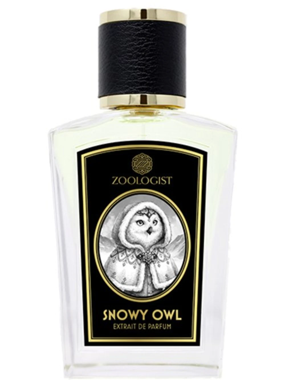 Snowy Owl by Zoologist