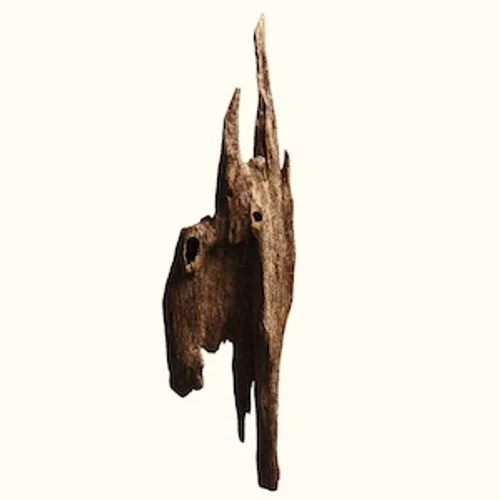 Oud (Thailand)